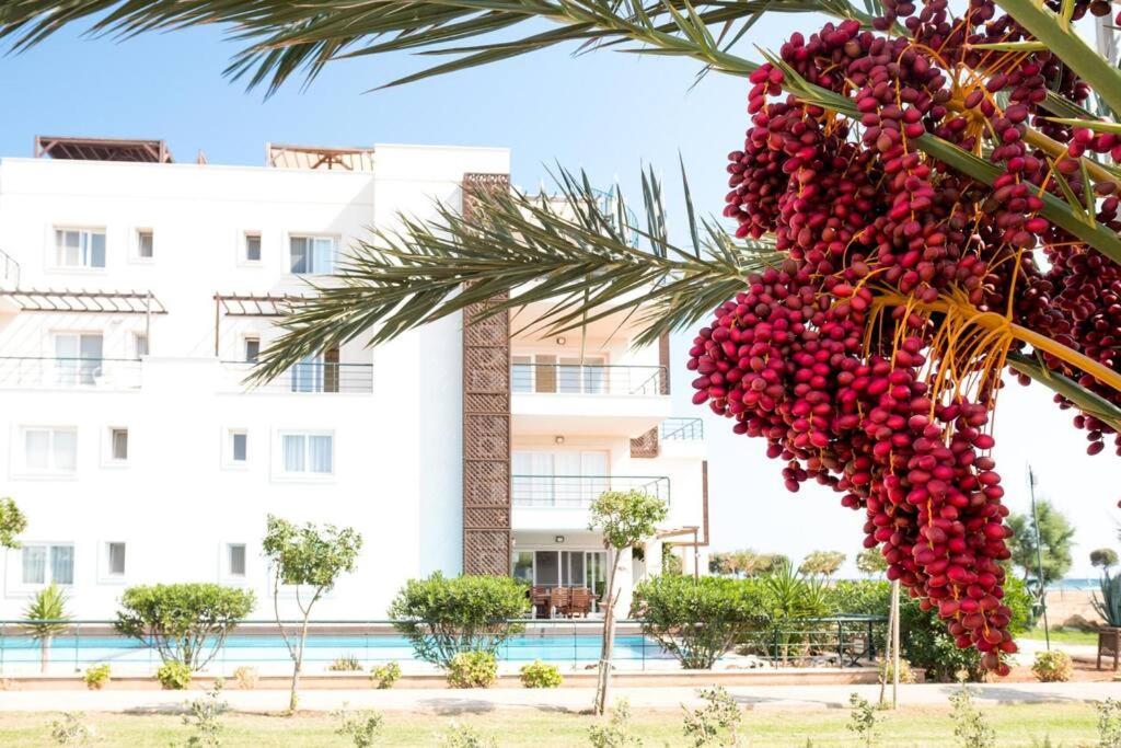 Private Beach Resort Cyprus Vokolidha Eksteriør billede
